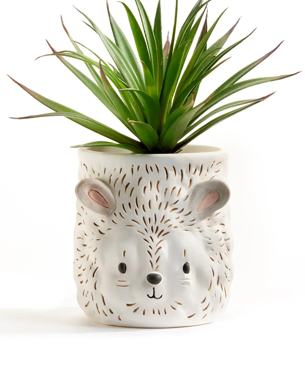 Hedgehog Planter