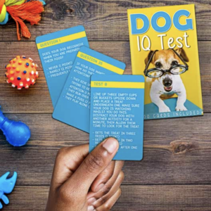 Dog IQ Test
