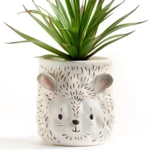 Hedgehog Planter