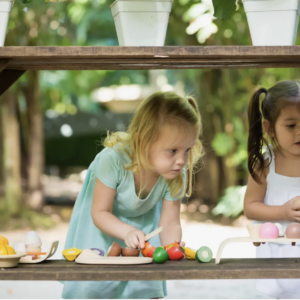 Assorted Fruit and Veggie Tray Toy