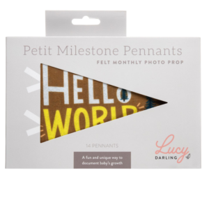 Little Camper Petit Milestone Pennants