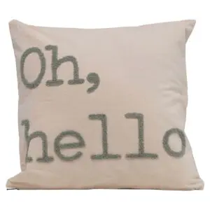 "Oh, Hello" Pillow