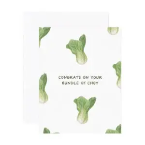 Bundle of Choy New Baby Card