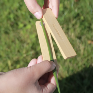 Huckleberry Grass Whistle