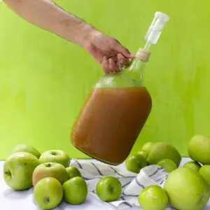 Hard Cider Making Kit