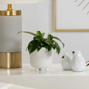 Embossed Mandala Ceramic Planter