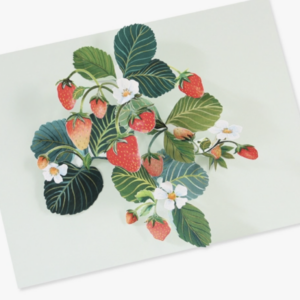 Strawberries Pop-up Card