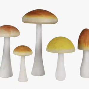Wooden Mushrooms Set of 5