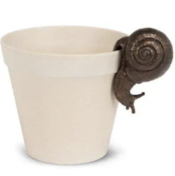 Hanging Pot Snail