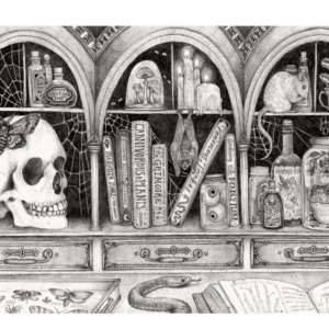 Cabinet of Curiosities Placemat