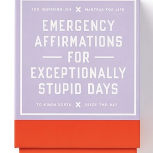 Emergency Affirmations for Exceptionally Stupid Days