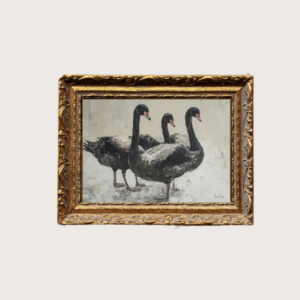 5 x 7 Black Swan Framed Art