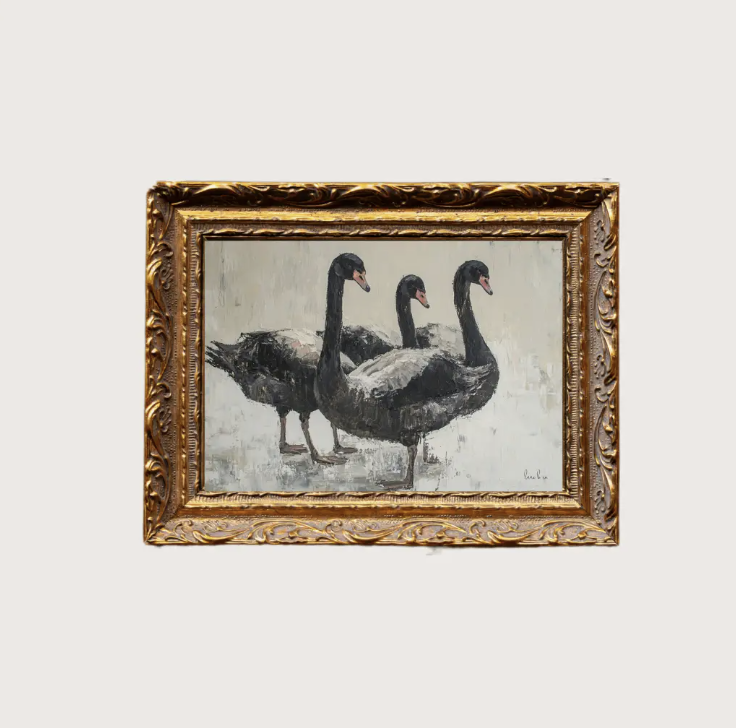 5 x 7 Black Swan Framed Art
