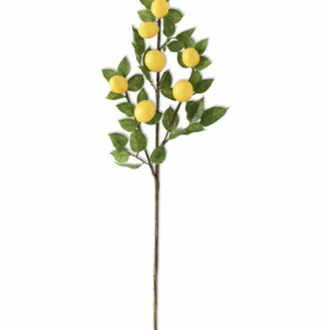 30" Lemon & Foliage Branch