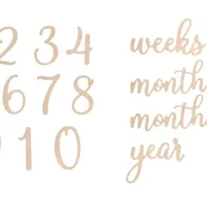 Wooden Milestone Props - #'s + Words