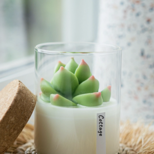 Succulent Soy Candle