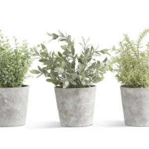 Faux Herb in Cement Pot