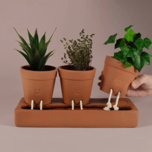 Self Care Trio Planter