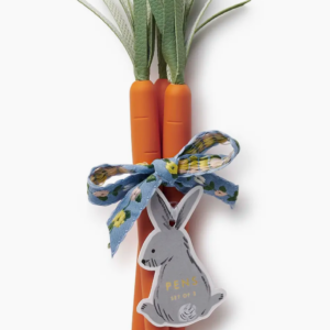 Set of 3 Carrot Pens