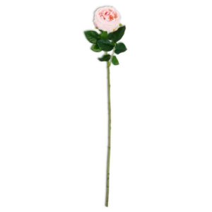 24"  Pink Real Touch Austin Rose Stem