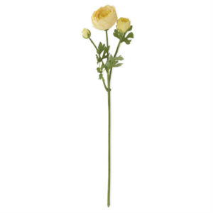 21" Yellow Real Touch 3 Head Ranunculus Stem