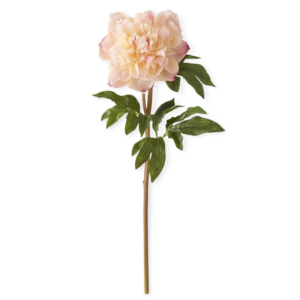 21.5"  Coral Charm Real Touch Peony Stem