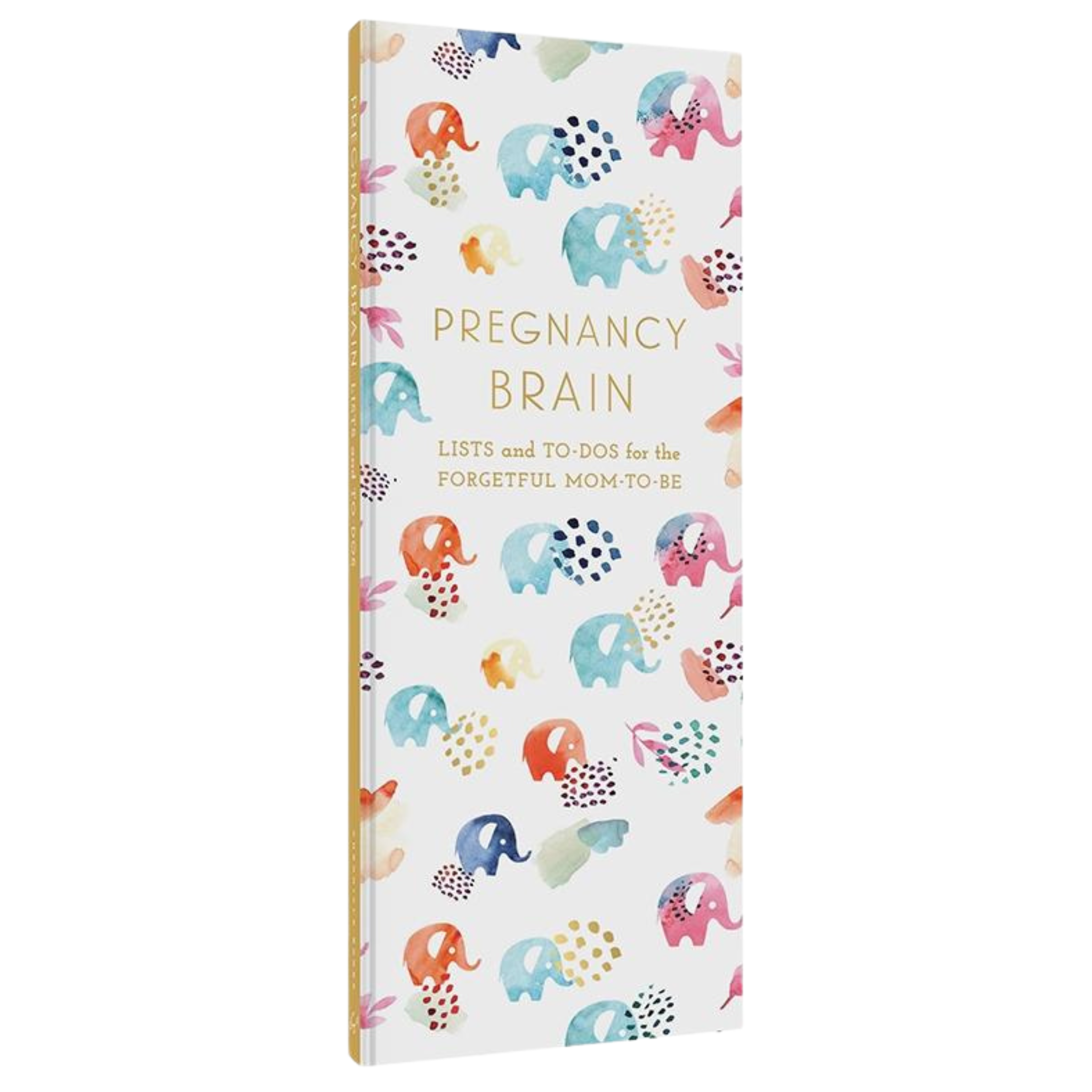 Pregnancy Brain Journal