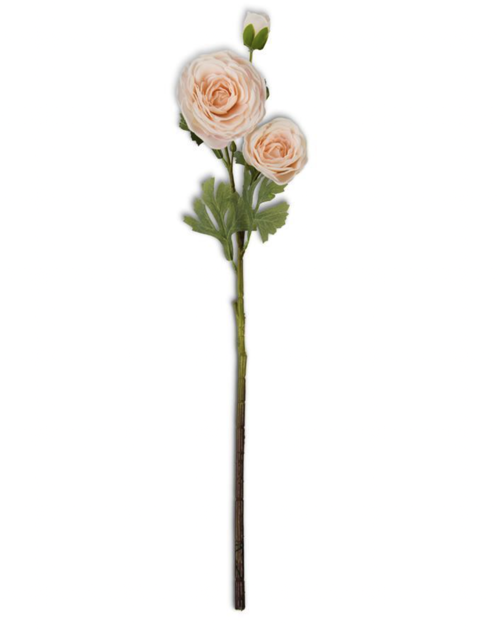 Silk Real Touch Flowers