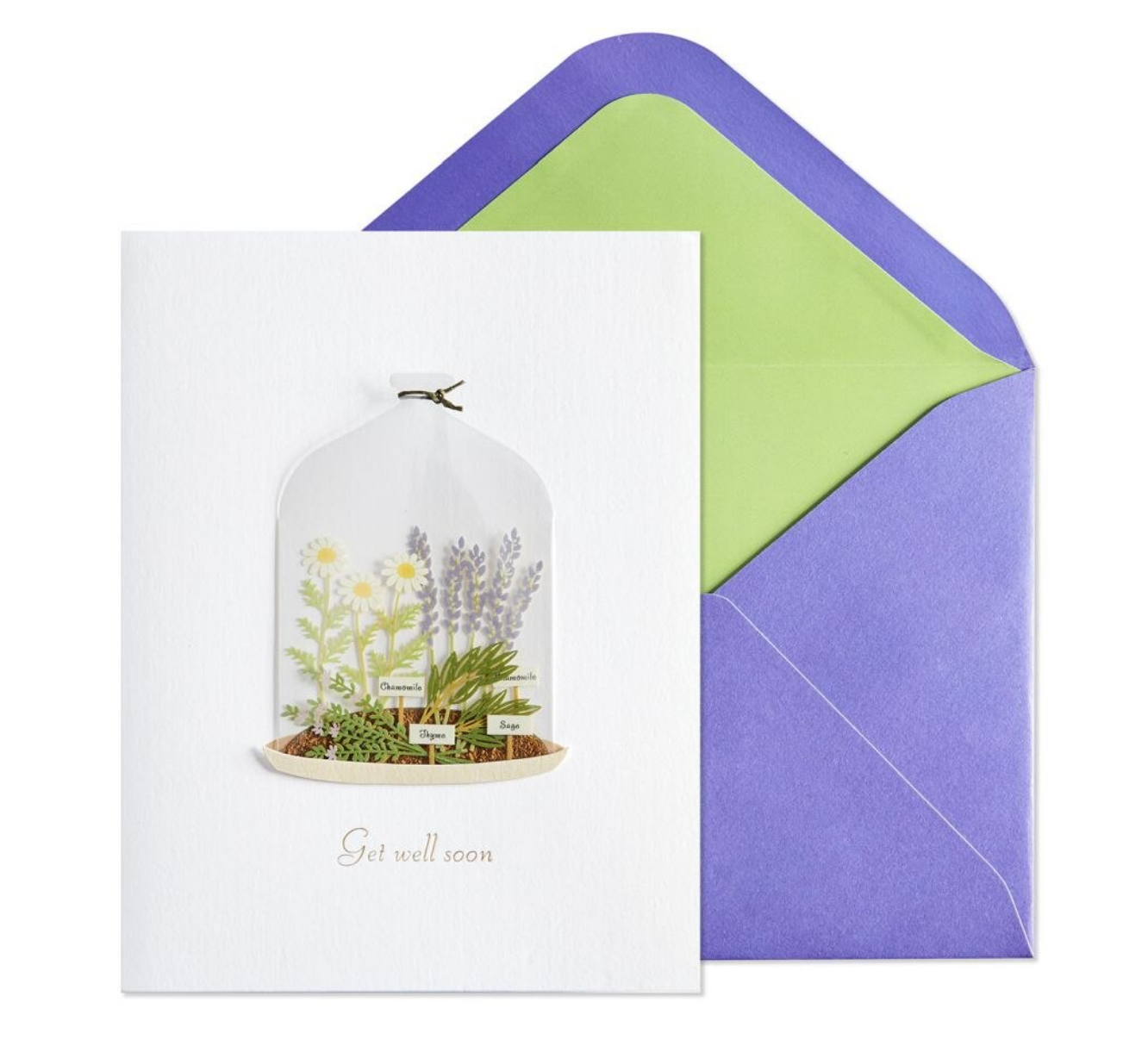 Plants in Cloche Card