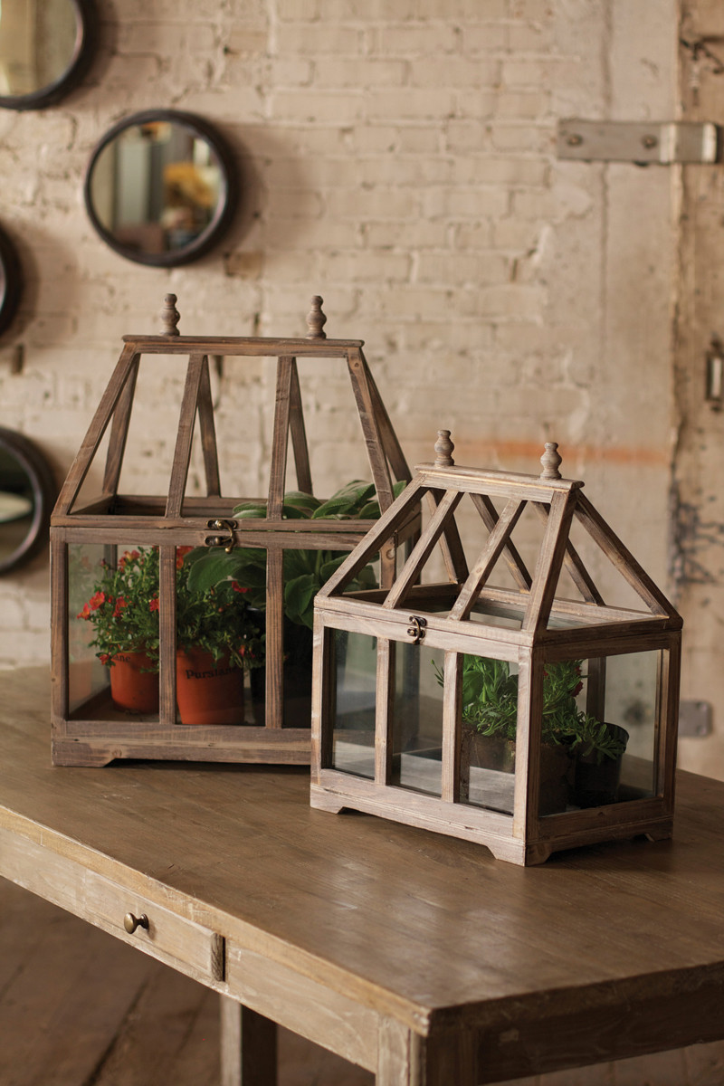 Wood + Glass Terrarium