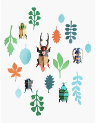 Wall of Curiosities - Beetle