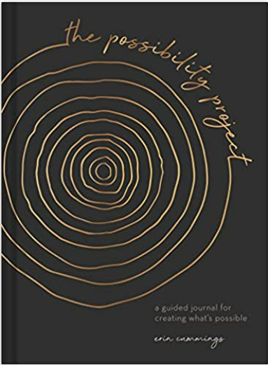 The Possibility Project Journal