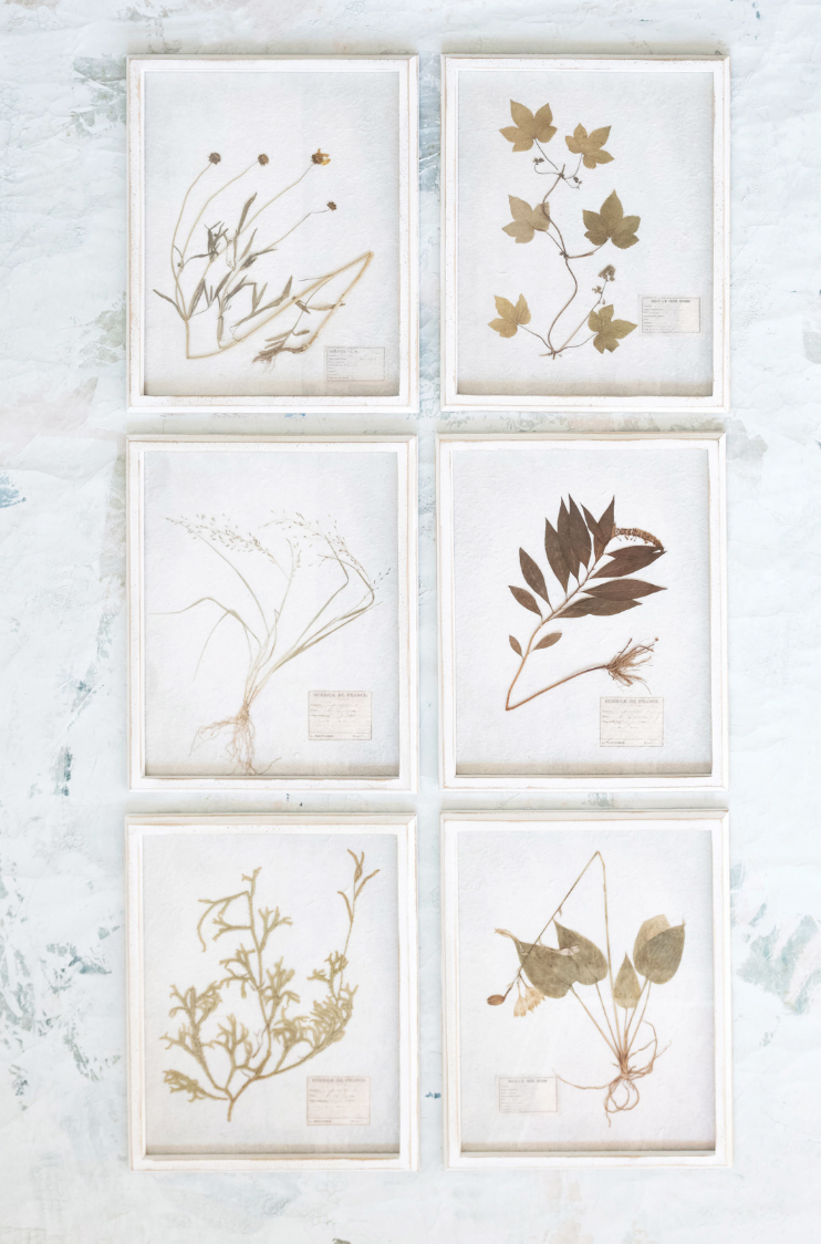 Wood Framed Glass Wall Décor with Dried Botanicals