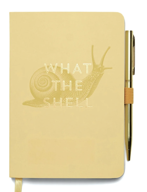 What the Shell Notebook