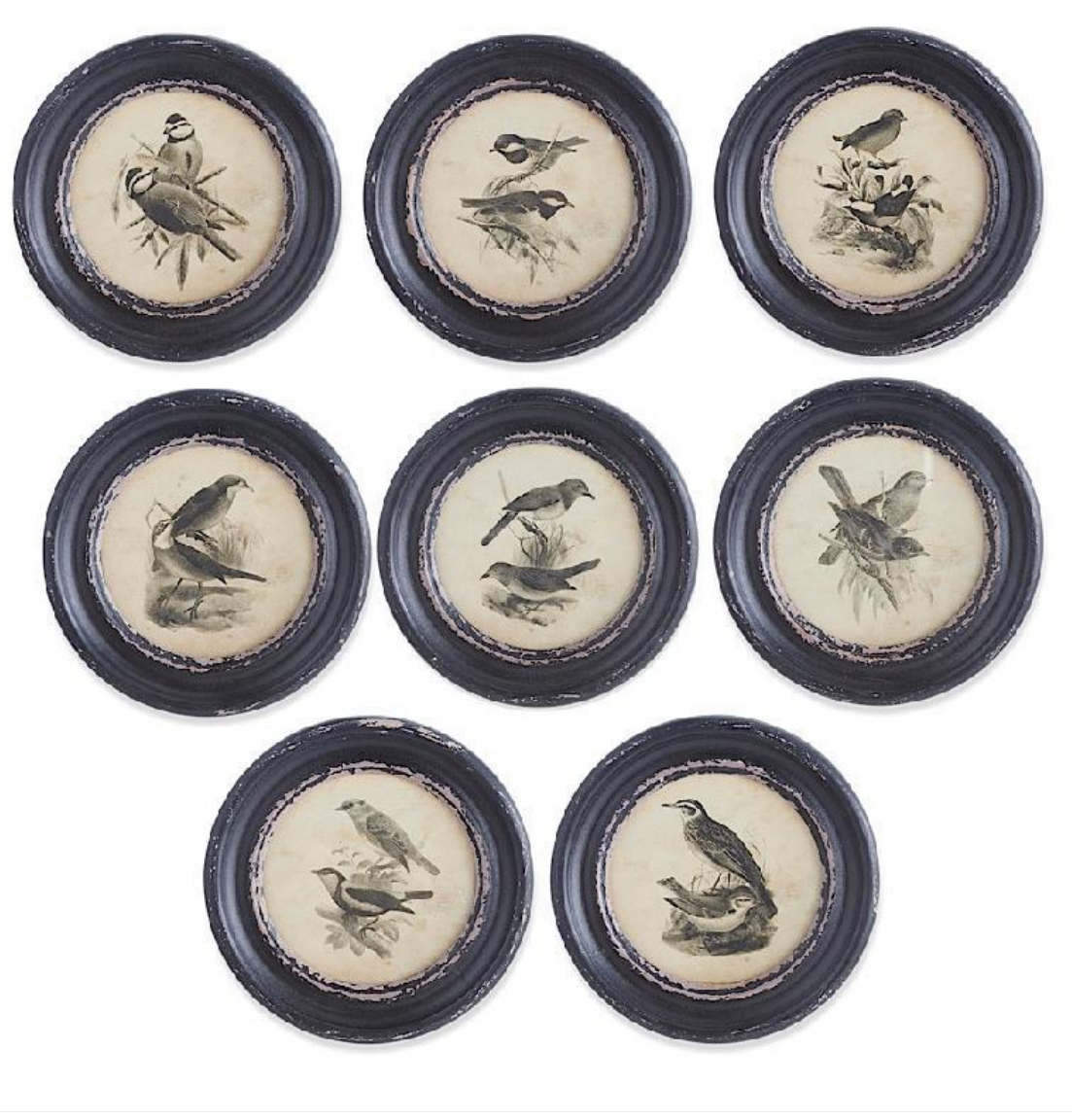 Round Bird Prints