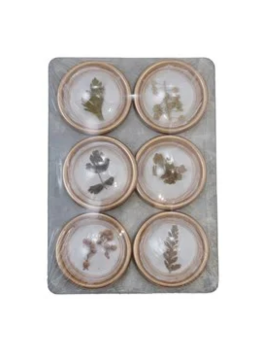 Resin Botanical Magnets