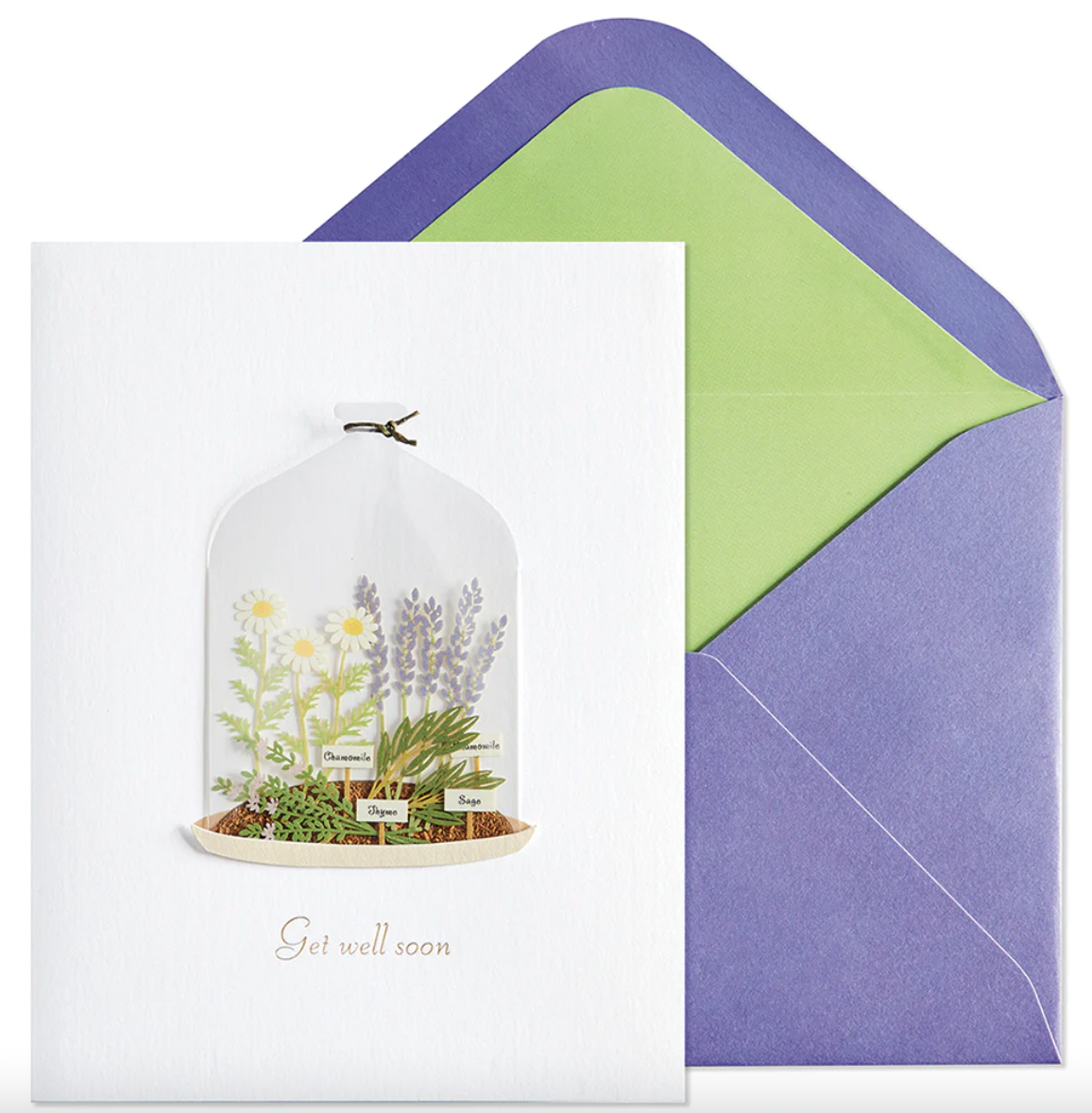 Plants In Cloche Get Well Soon Card