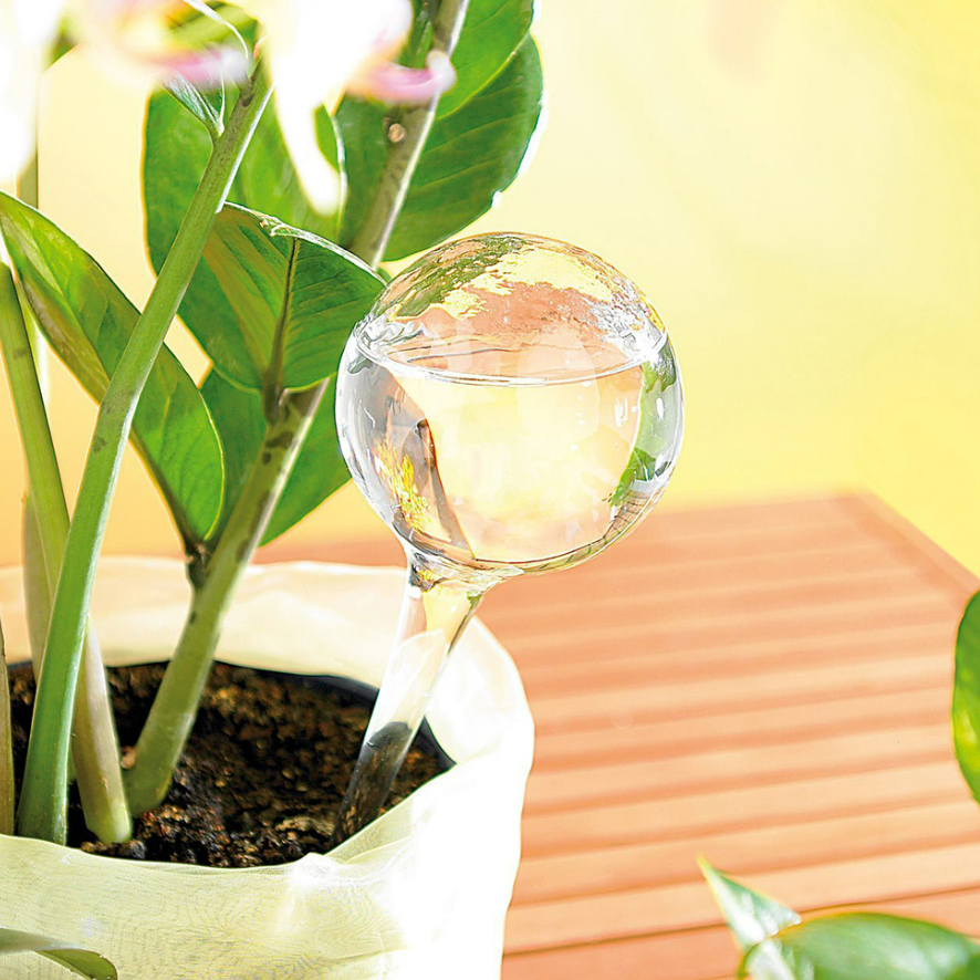 Small Garden Water Ball